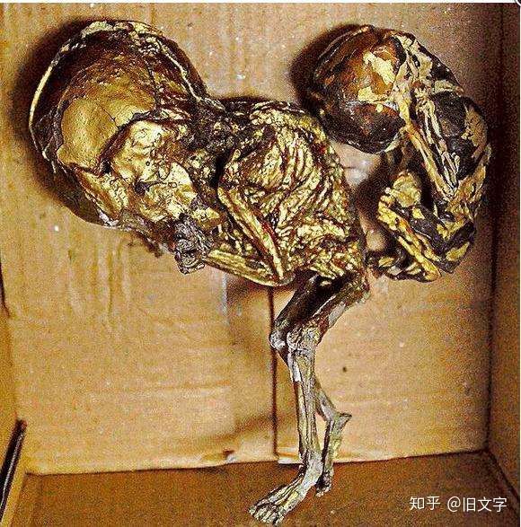 世界各地的鬼片合集,各个国家鬼片的特点总结