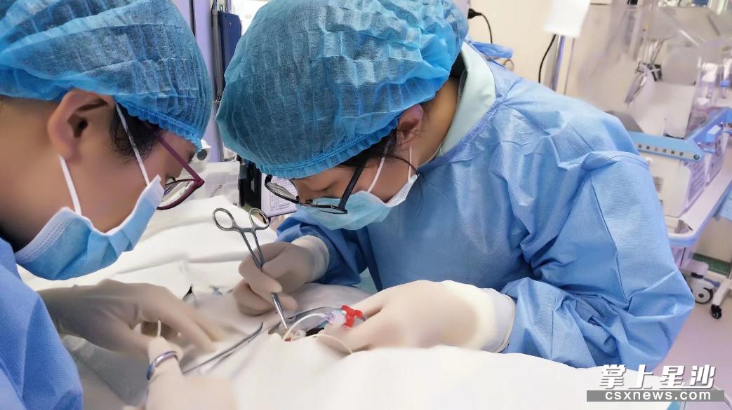 世界早产儿日科普,为什么会早产怎么预防