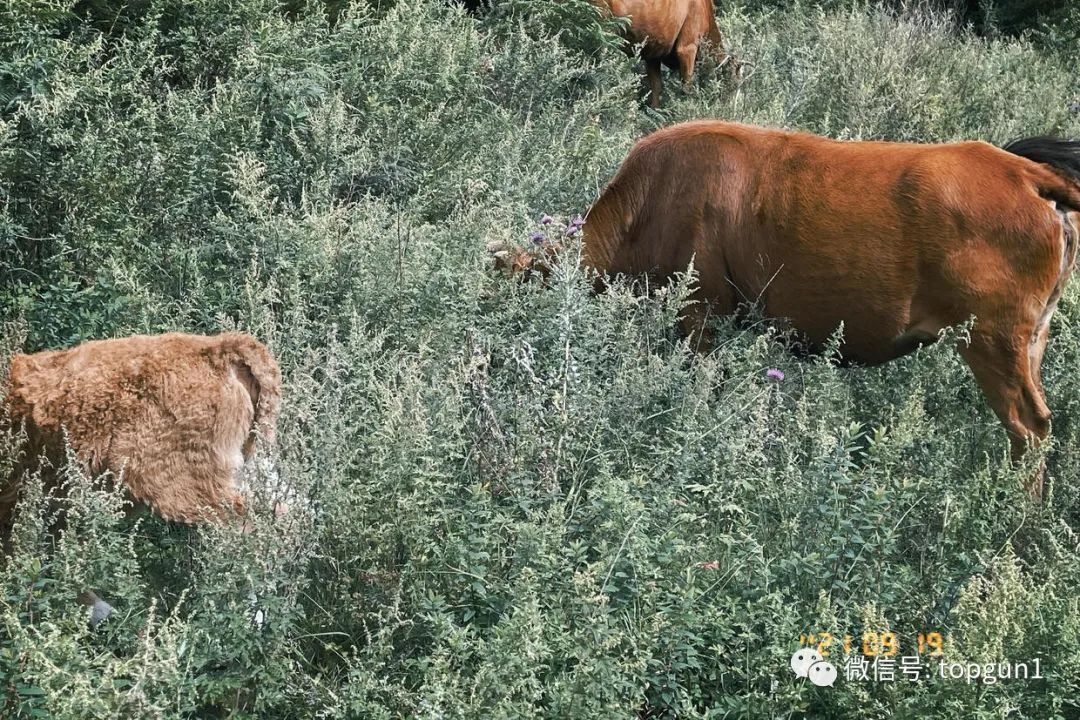 9月假期,9月很忙的句子