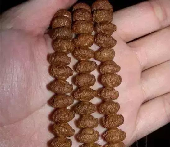 最全的菩提子图解太美了,最好的菩提子