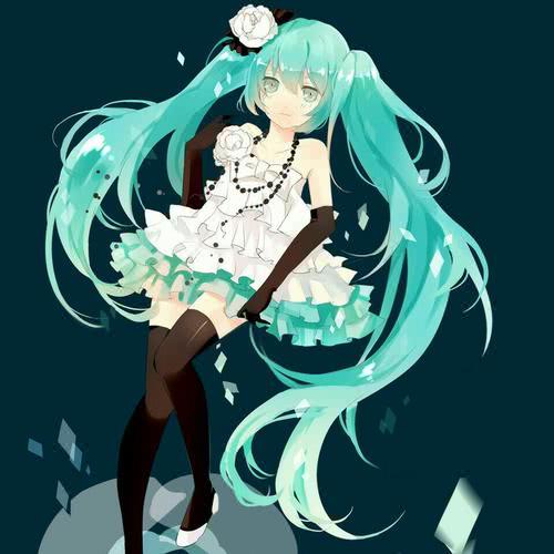 二次元常说的一句话,一次元二次元三次元有什么区别啊