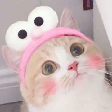 安利特别小众的番,安利便宜的护肤品