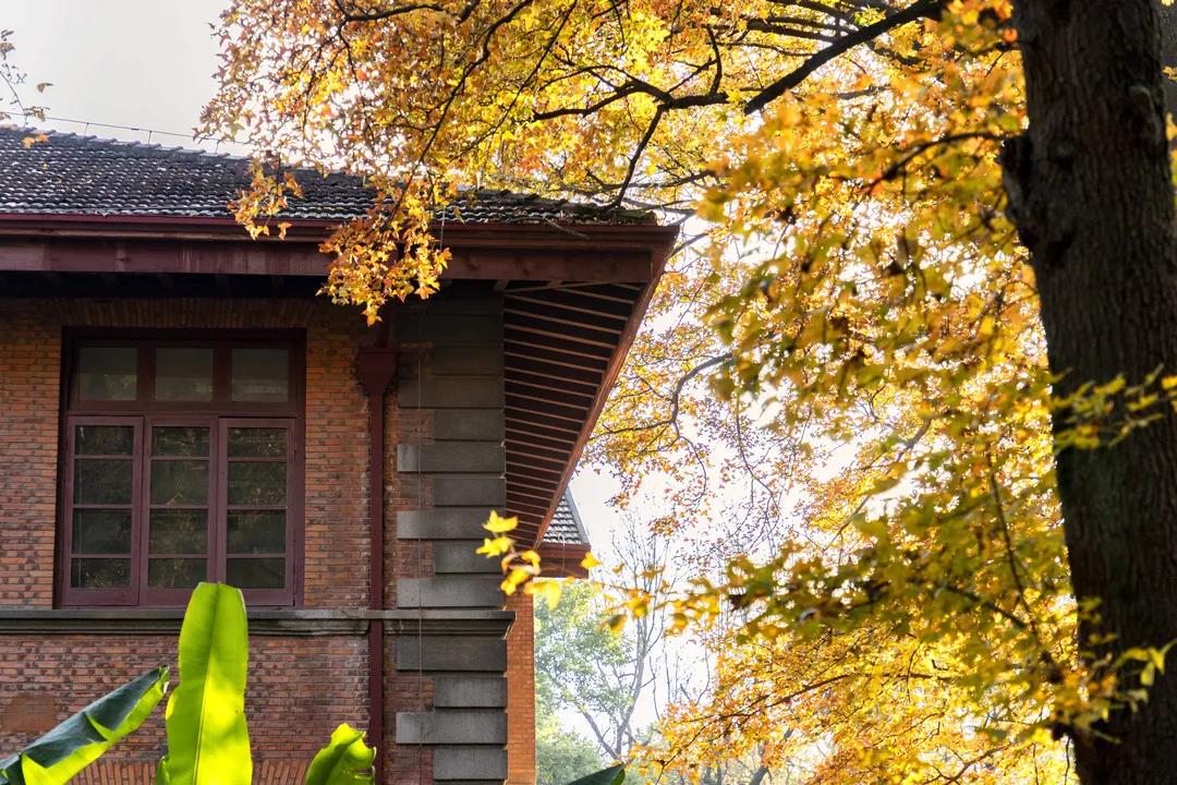 复旦大学ppt模板下载,浙江大学极简ppt模板