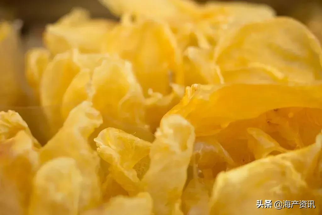 花胶正宗做法大全,花胶高级吃法做法大全