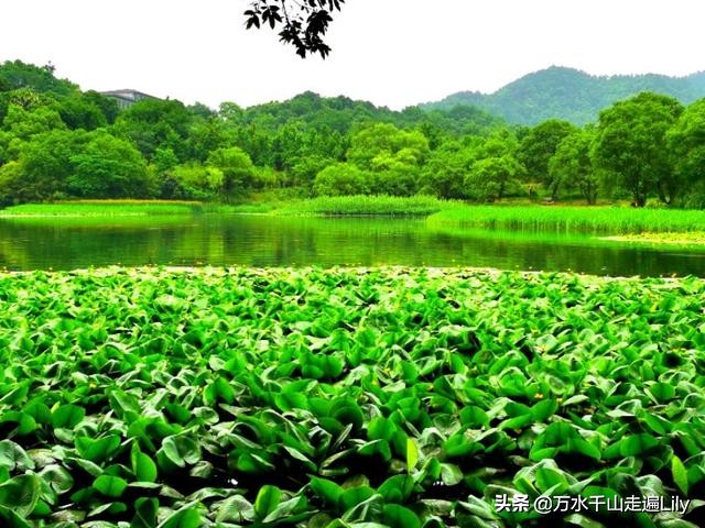 杭州不为人知的世外桃源,杭州幽静的去处