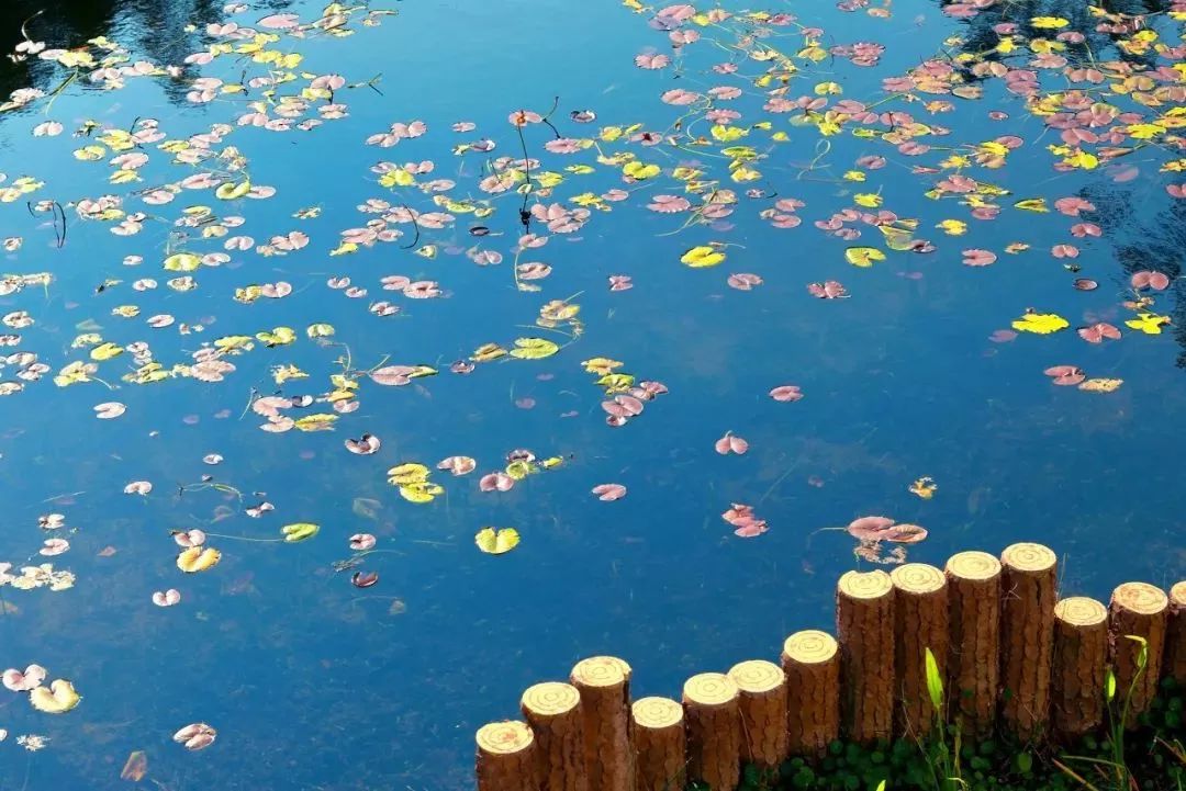 广西有座小城,广西这个宜居小城很低调