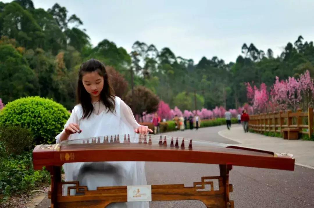 乐山市生态文明,庆祝新中国成立70周年特辑宣讲