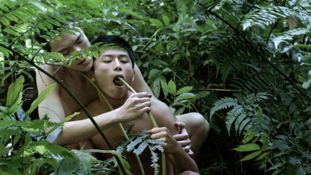 2017年迈阿密艺术博览会作品展示,2019年迈阿密魅力秀