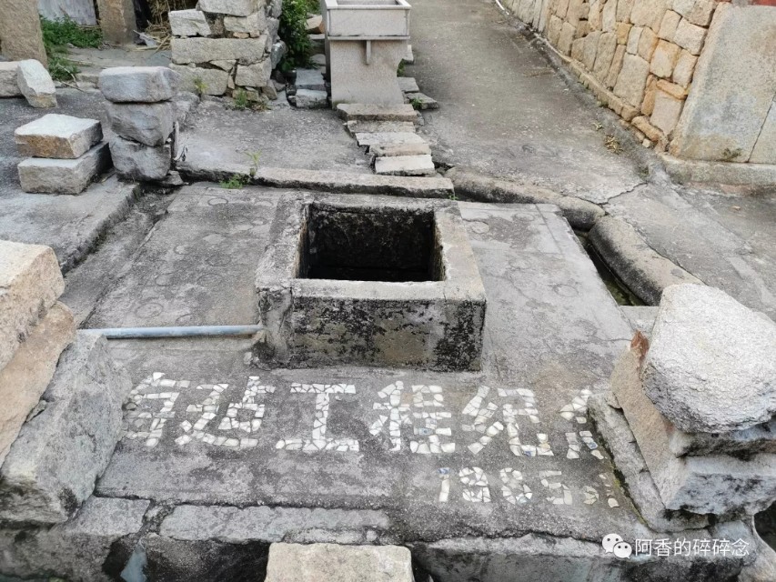 东园往事2018,东园往事全集