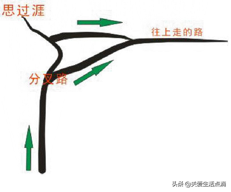 惠州市惠阳区亚公顶森林公园游记,惠阳亚公顶森林公园怎么走