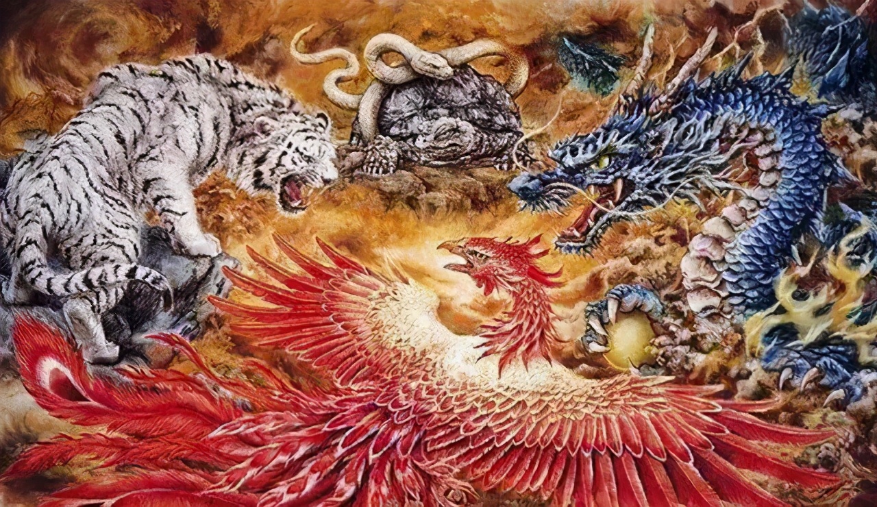 乌龟从神兽到王八,记录我们家小神兽成长历程