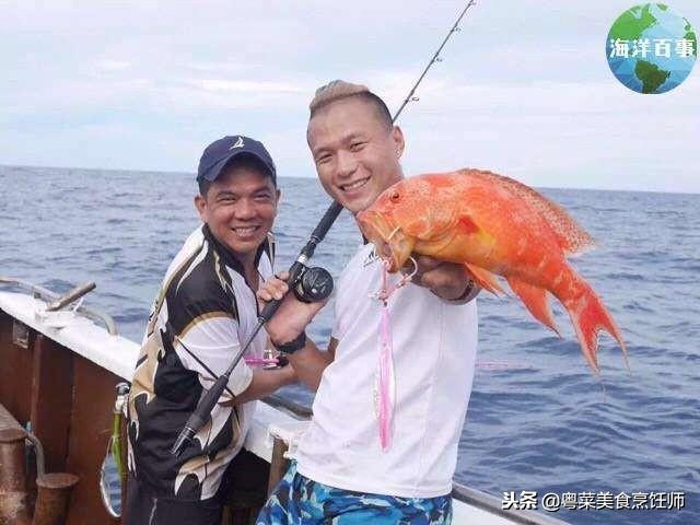 名贵海鲜干货有哪些品种,名贵海鲜水产品种类