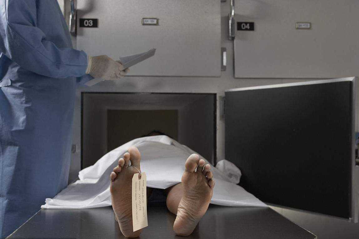 人去世了人的基因还会跑到哪里,人死后身体各个器官最后的使命