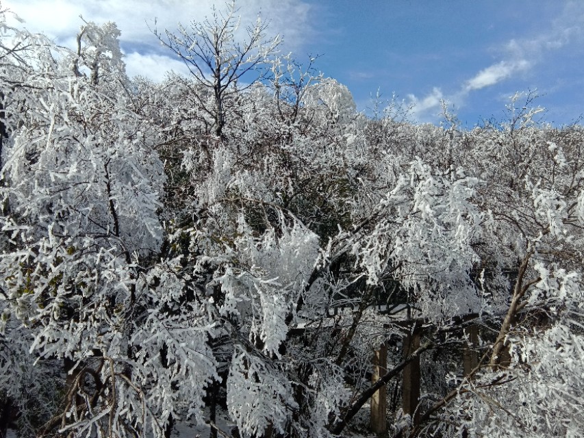 张家界天门山雪景,张家界天门山国家森林公园