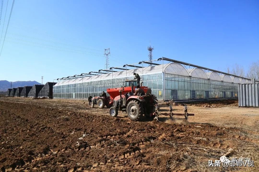 武安文安开工,武安复工