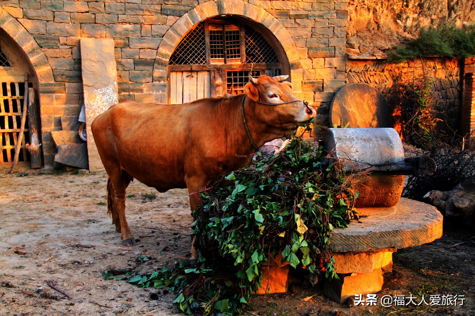 调皮晋陕甘黄河六湾六个洋字母
