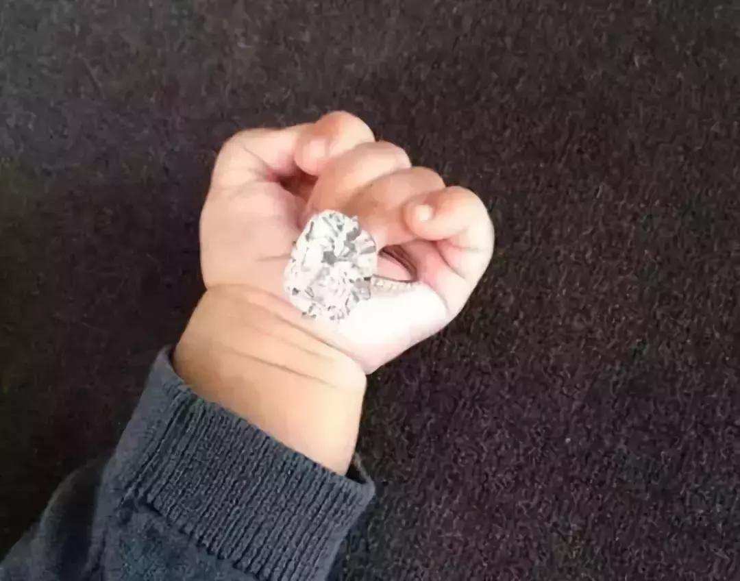 老佛爷的猫继承多少遗产,老佛爷去世了猫继承了多少遗产