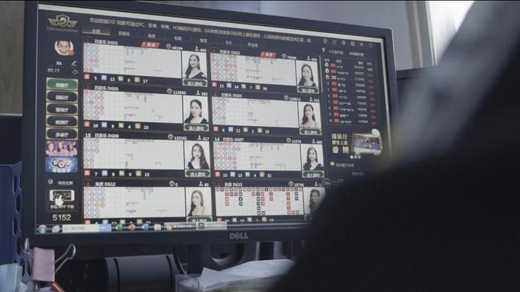 盗版电影牵出百亿赌资，赌博网站这次玩脱了