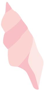 海水鱼缸微缸,如何打造一个海水缸