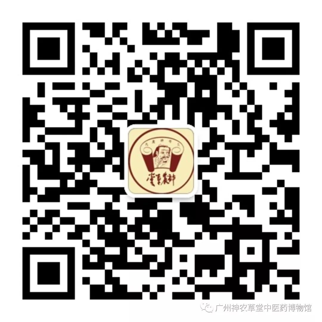 中药丨幼蚕与白僵菌的相遇