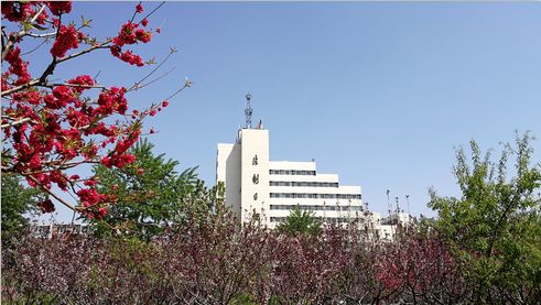 霸道村官是如何炼成的,辣评基层干部