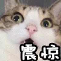 山东服装批发市场有哪些牌子,一至十元服装批发市场