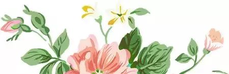 辟谣｜青汁清理血液排毒又减肥？你可能花了冤枉钱！