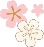 足部护理加长加热脚套,足部护理脚趾套品牌