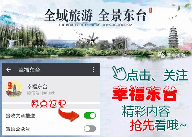 东台新闻联播回放,东台时政新闻发布