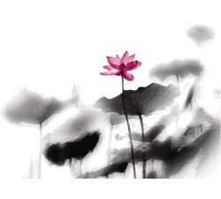 院中园,园中园农家饭庄