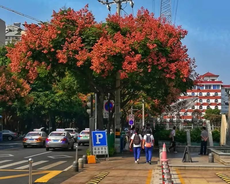 带你看美丽的厦门海边美景,厦门海洋最美丽的风景