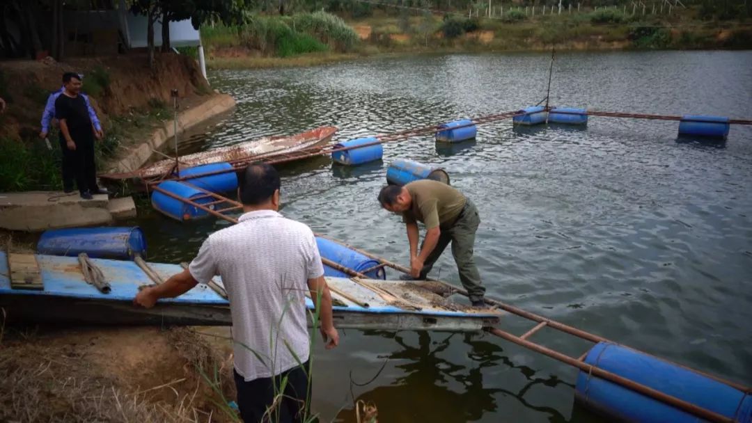 全面清理养殖网箱,水域取缔网箱养殖