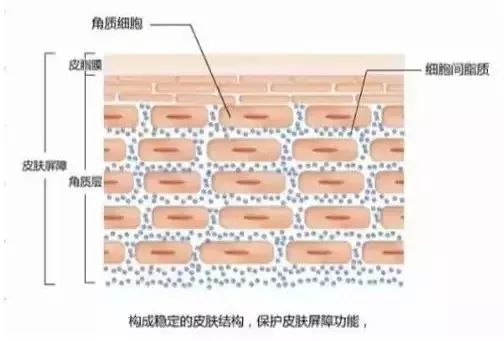 女明星高价护肤品,骆王宇推荐平价水乳秋冬补水保湿