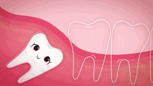 有一种痛叫做拔智齿的痛,有种疼叫智齿疼6种情况果断拔掉