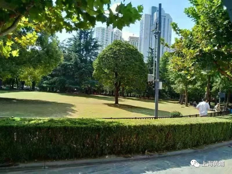 黄浦区延福绿地篮球场,黄浦区健身塑胶跑道工程