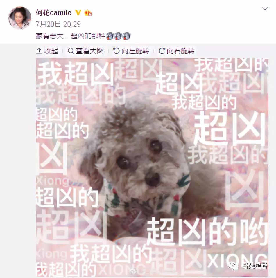 专访何花丨《黄泉》里的“最萌孟婆”是怎样养成的