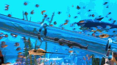 上海深坑酒店基础类型,上海深坑酒店攻略