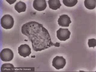 100张趣味化学反应动图,30张化学反应动图
