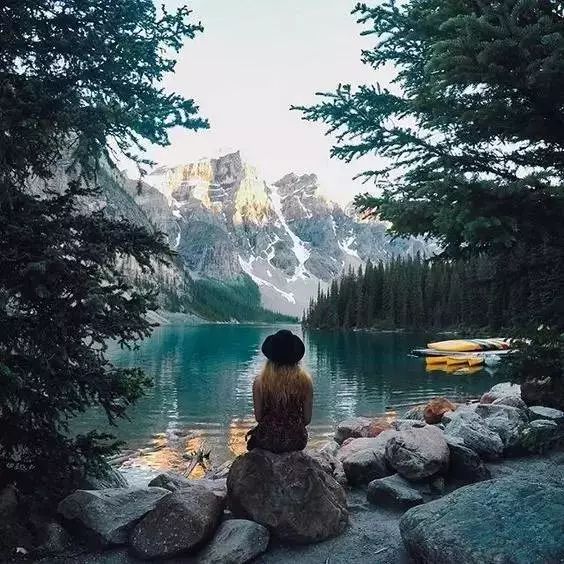 选一棵树看看你什么性格,选一棵树看性格