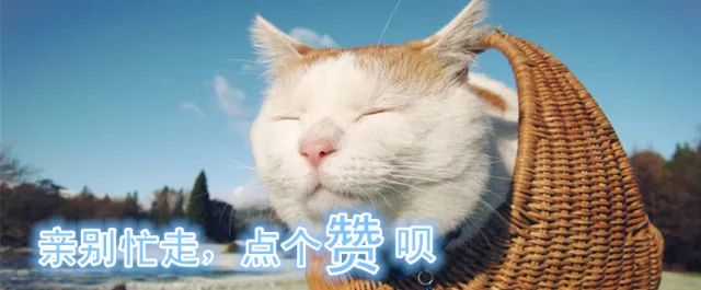 机器人团队激烈角逐,工业机器人团队比赛