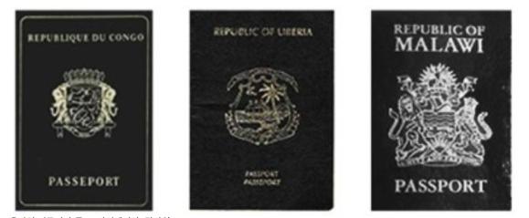 各国护照颜色,世界各国护照的种类