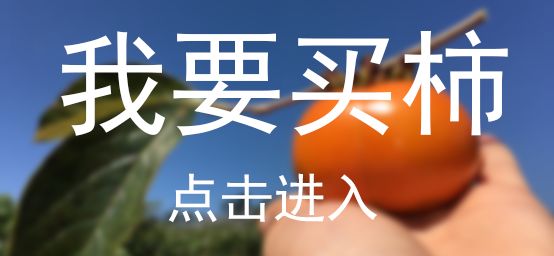 1036有礼啦!花开两岸,柿柿如意——10月20号自驾游报名啦!