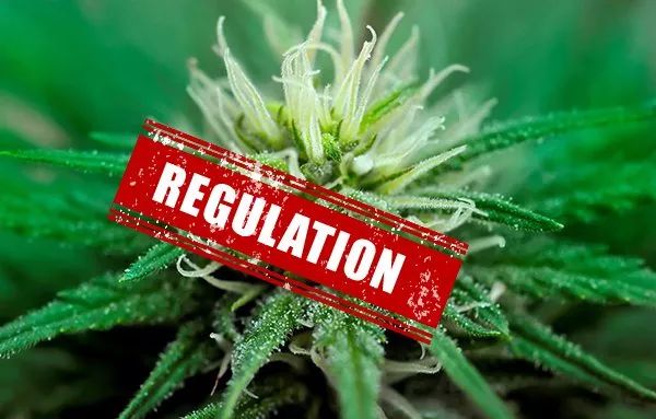 消遣类*麻大**即将合法化，加拿大人害怕了吗？