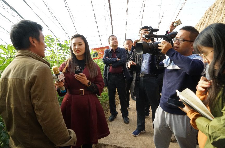 用它一茬多赚近2万:种地老把式再不愁销路,经销商惊叹这产品要火!