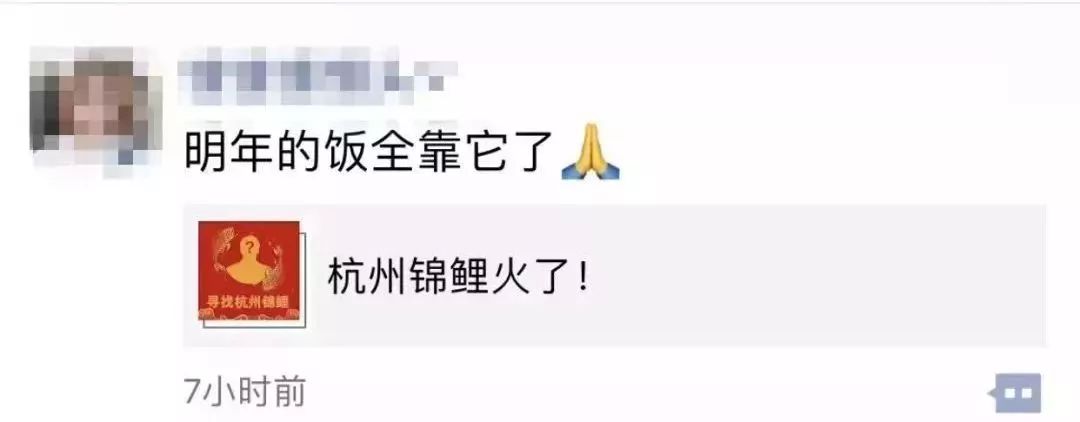 清远街坊：五花八门的锦鲤活动，小心暗藏*局骗**！