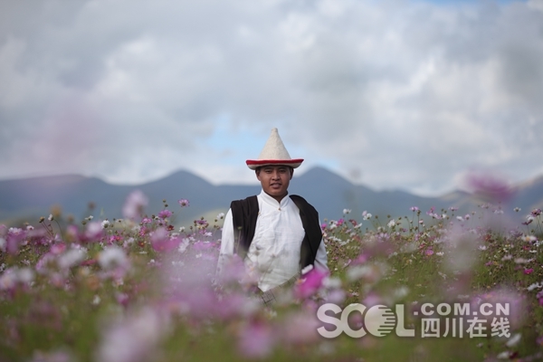 聚焦90后藏族青年返乡创业丨“油菜花小王子”返乡搞旅游让家乡披上“黄金甲”