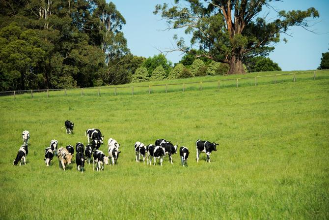 苏宁小店生鲜店总部,苏宁小店直营店