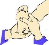 两个养生黄金期,两个养生方法