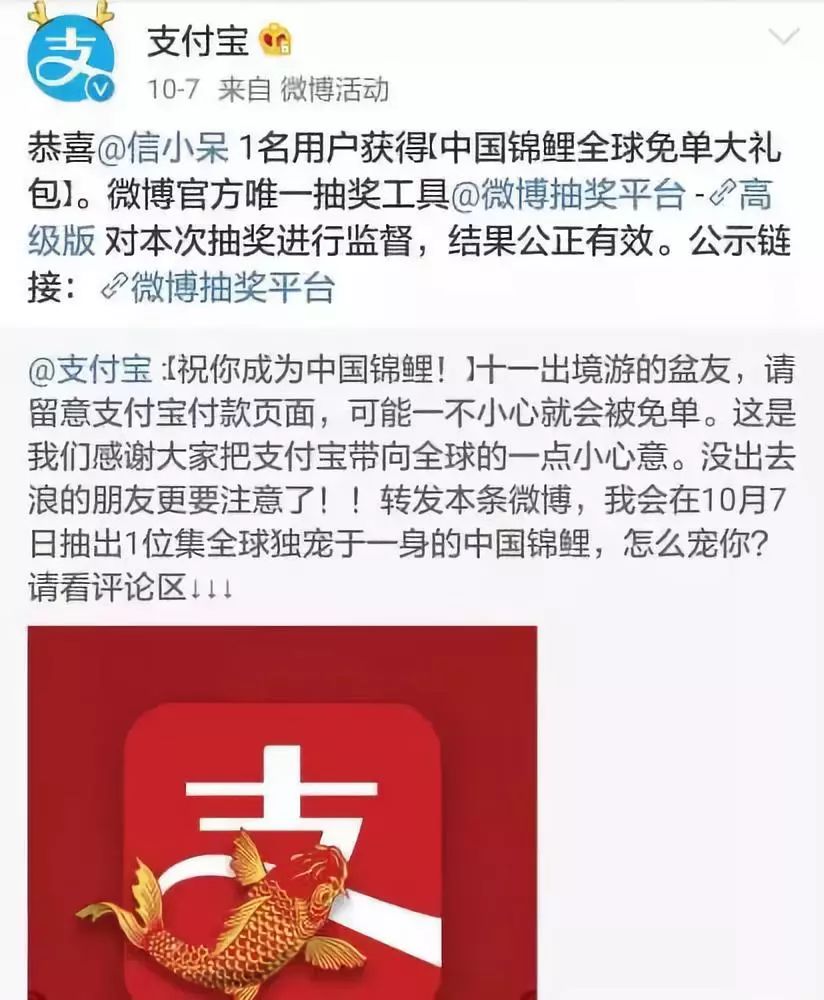 锦鲤骗局揭秘最新消息,锦鲤骗局新套路