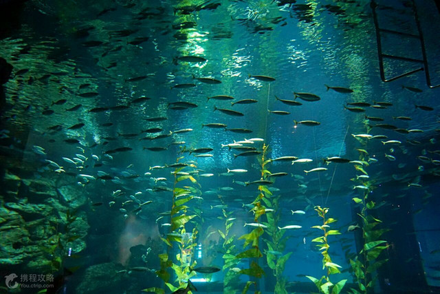 南昌安义县旅游必去十大景点,南昌亲子游必去十大景点